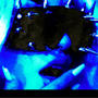 Black blood (Explicit)