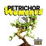 Petrichor