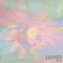 Lilypads