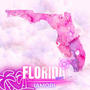 Florida Sh!t (Explicit)