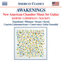 Chamber Music With Guitar (American) - Kernis, A.J. / Liderman, J. / Mackey, S. (Awakenings) [D. Tanenbaum, Plitmann, A. Strauss, Kernis]