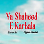 Ya Shaheed e Karbala