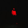 SUNNY IN HELL!