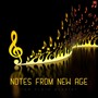 Notes from New Age