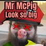 Mr Mc Pig (Explicit)