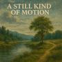 A Still Kind of Motion