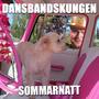 Sommarnatt