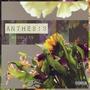 Anthesis (Explicit)