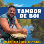 Tambor de Boi (Acoustic)