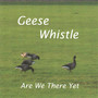 Geese Whistle