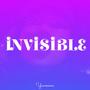 Invisible Freestyle