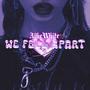 WE FELL APART (Explicit)