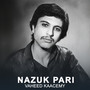 Nazuk Pari