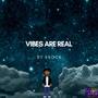 VIBES ARE REAL (Explicit)