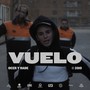 Vuelo