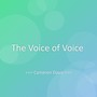The Voice of Voice