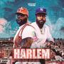 Harlem (feat. Nino Man) [Explicit]