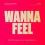 Wanna Feel (Explicit)