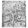 Curling Serpents Under Stone
