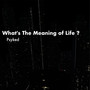 What's The Meaning Of Life ?