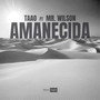 Amanecida