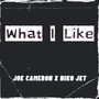 What I Like (feat. Niko Jet)