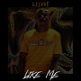 Like Me (Explicit)