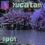 Spot