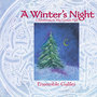 A Winter's Night - Christmas In The Great Hall