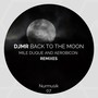 Back to the Moon