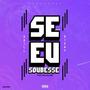 SE EU SOUBESSE (feat. Paulelson & D1ZAY)