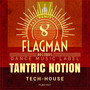 Tantric Notion Tech House