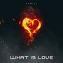 What is Love (Explicit)