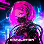 Simulation