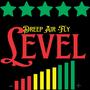 Level (Explicit)