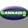 Cannabis Pm (Ho Hey Parody)