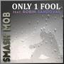 Only 1 Fool (feat. Robin Sandoval)