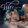 Why (Explicit)