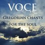 Gregorian Chants for the Soul