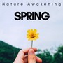 Spring: Nature Awakening, Calm Down Now with the Purest and Deepest Relaxation Music, Spitirual Connection