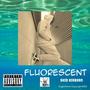 Fluorescent (Explicit)