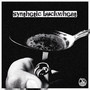 Synthetic buckwheat (Explicit)