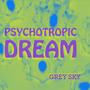 Psychotropic Dream