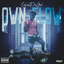 Own Flow (Explicit)