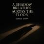 A shadow breathes across the floor