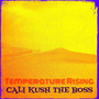 Temperature Rising (Explicit)