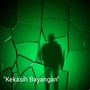 Kekasih Bayangan