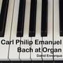 Carl Philip Emanuel Bach at Organ (Carl Philipp Emanuel Bach)