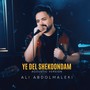 Ye Del Shekoondam (Acoustic Version)