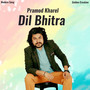 Dil Bhitra